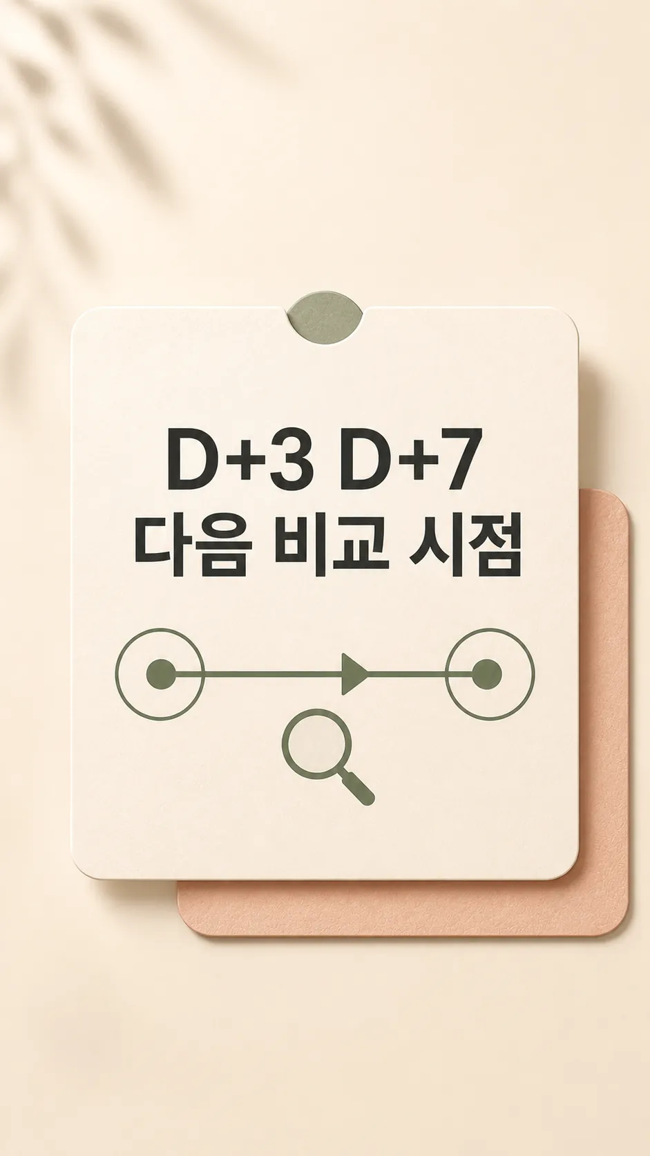 D+3 D+7 다음 비교 시점 회복 흐름도