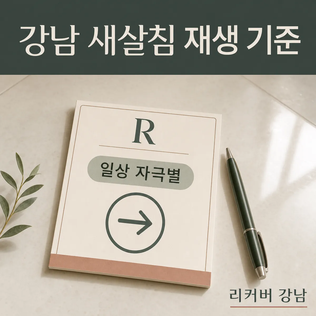 썸네일 - 강남 20대 새살침·재생 조합, 일상 자극에 따른 선택 기준
