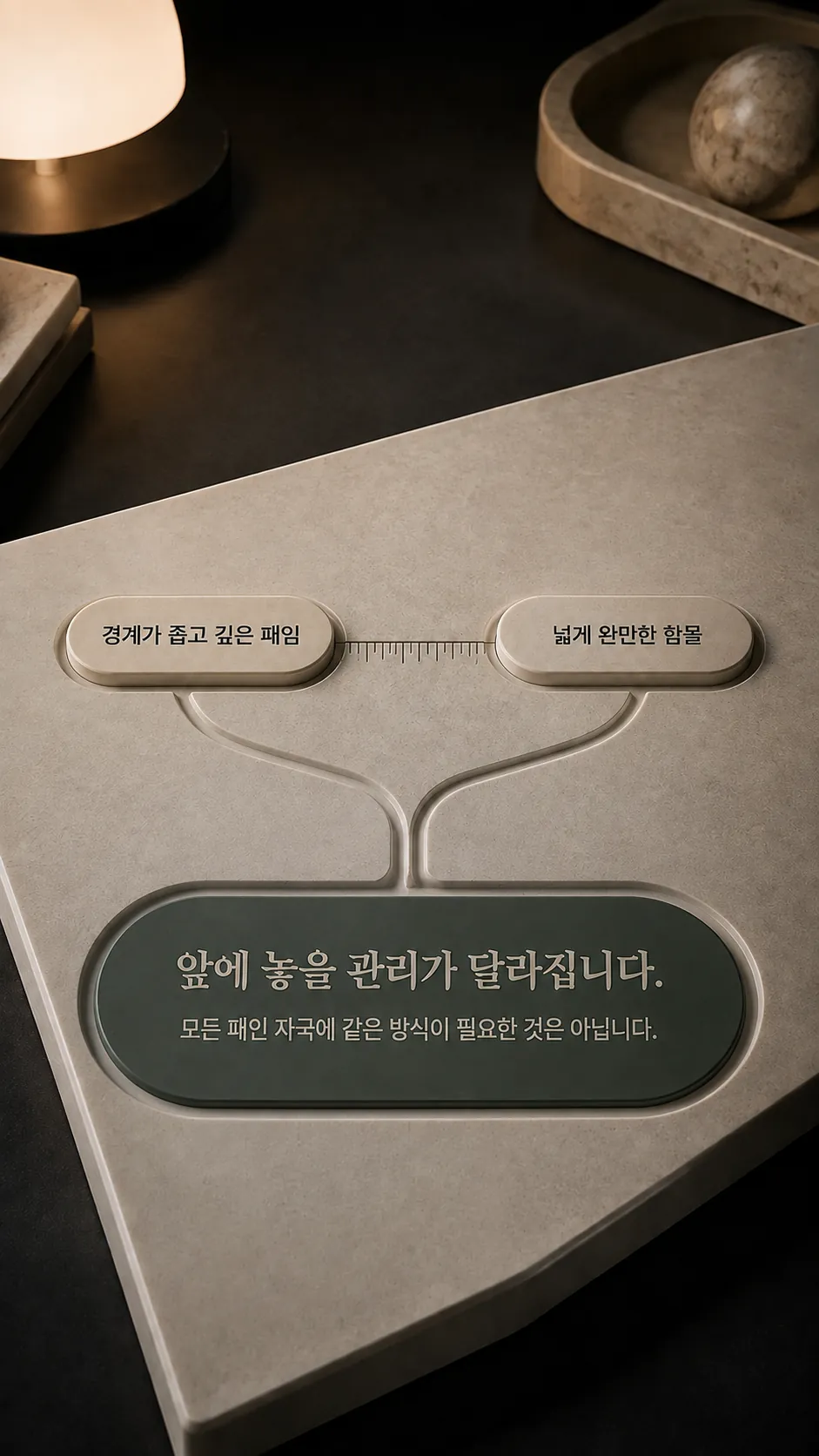 서브시전 전후 피부 깊이·시점·회복 기준 3라벨 요약