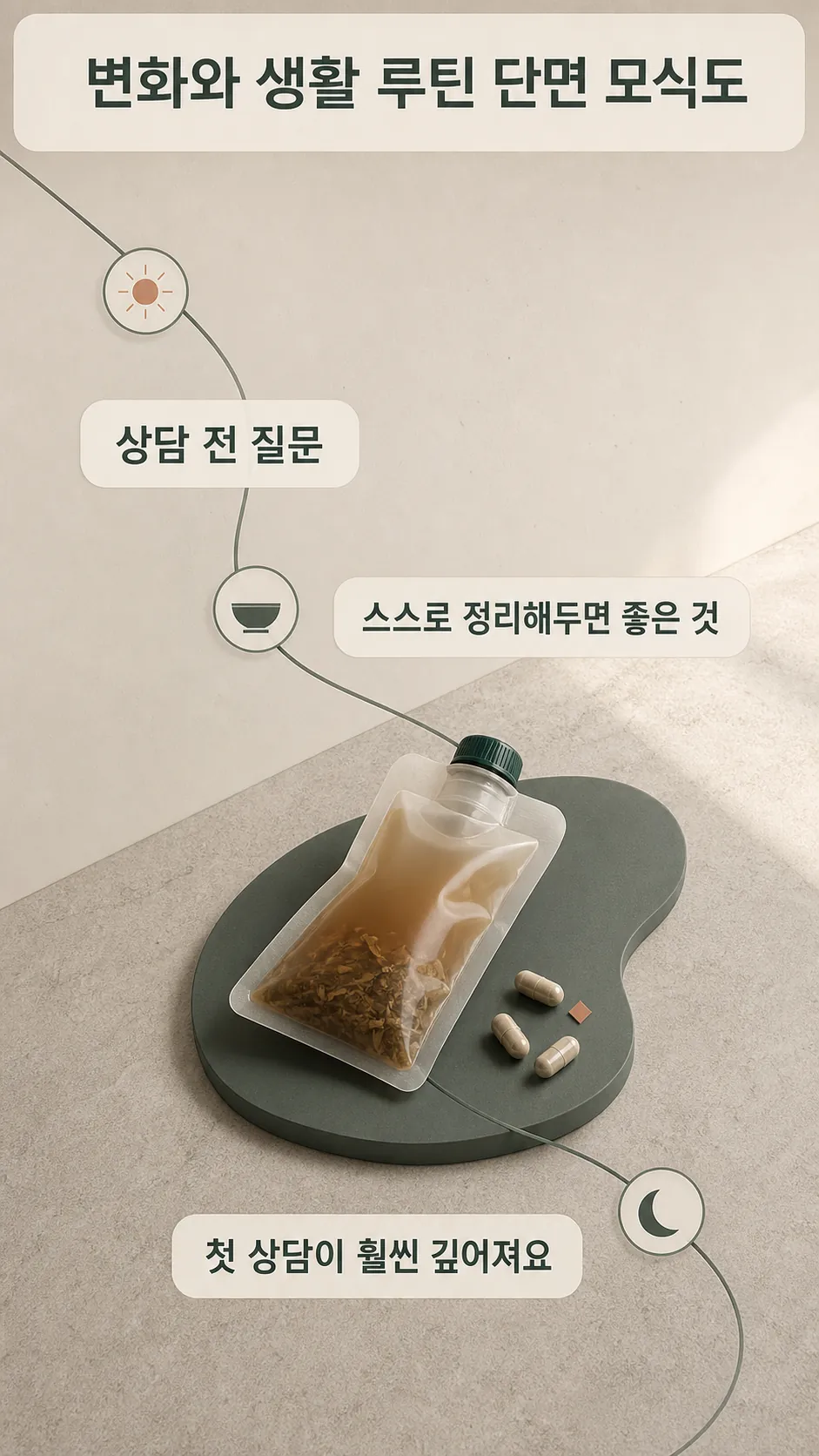 대사 변화와 생활 루틴 단면 모식도