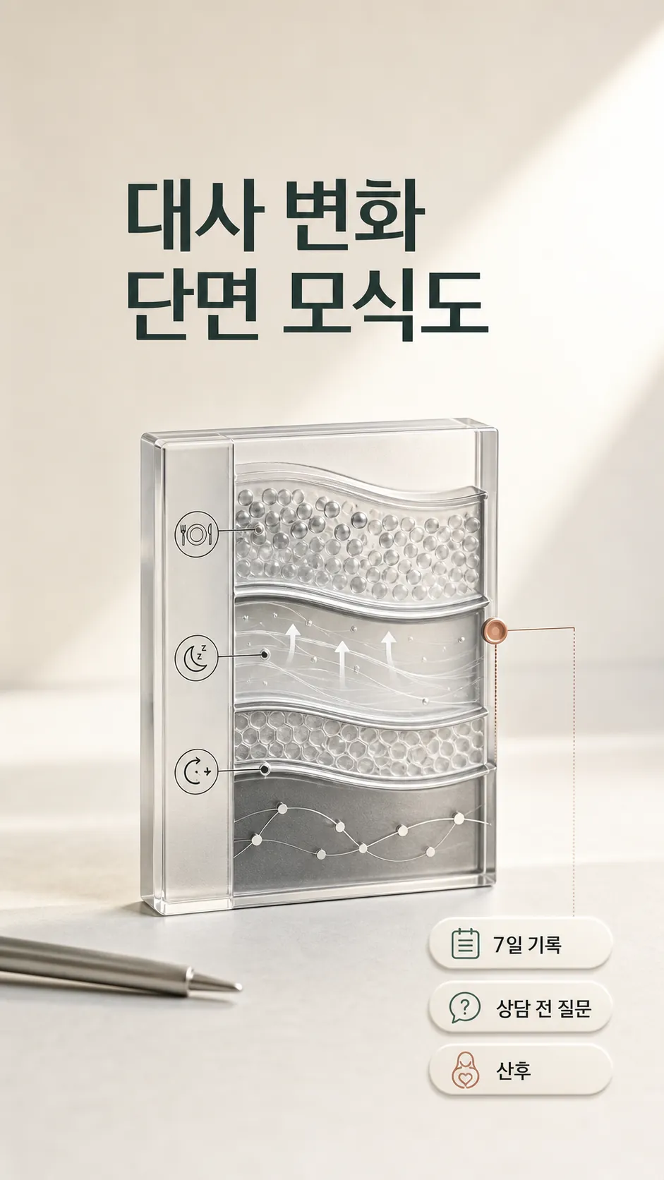 대사 변화 단면 모식도