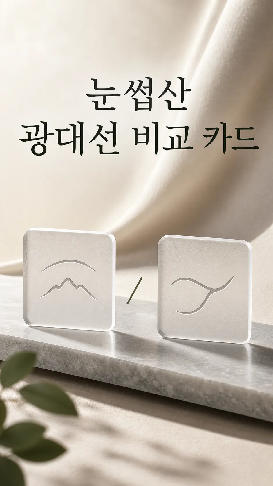 눈썹산 광대선 비교 카드