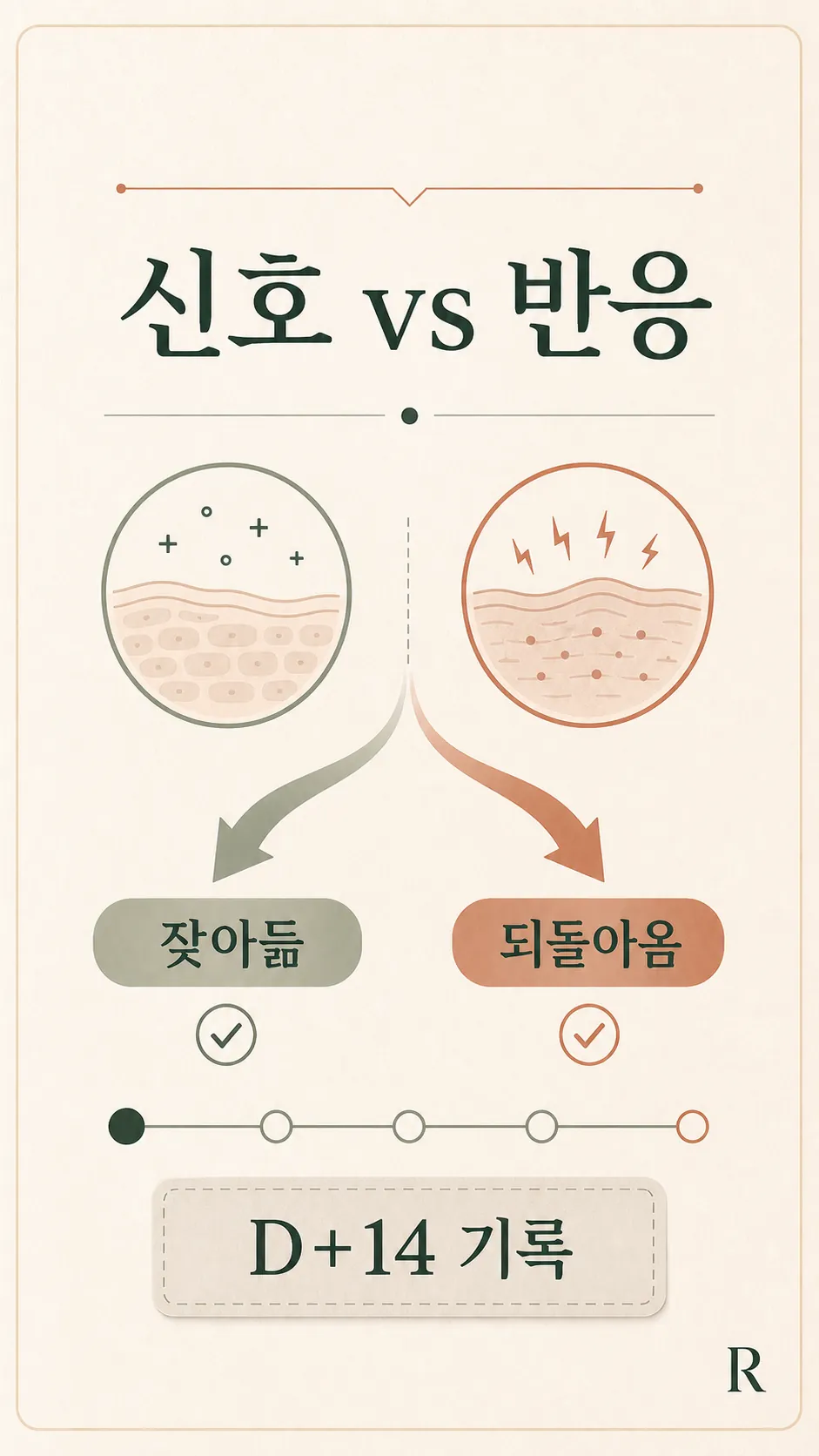 D+3·D+7·다음 비교 시점 회복 흐름 타임라인