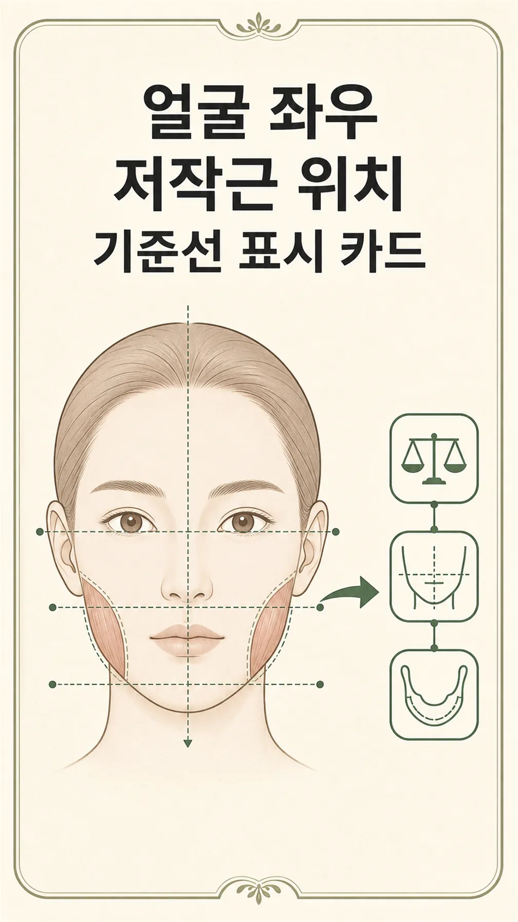얼굴 좌우 저작근 위치 기준선 표시 카드