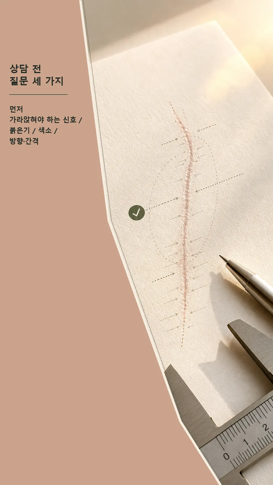 상담 전 질문 세 가지 정물