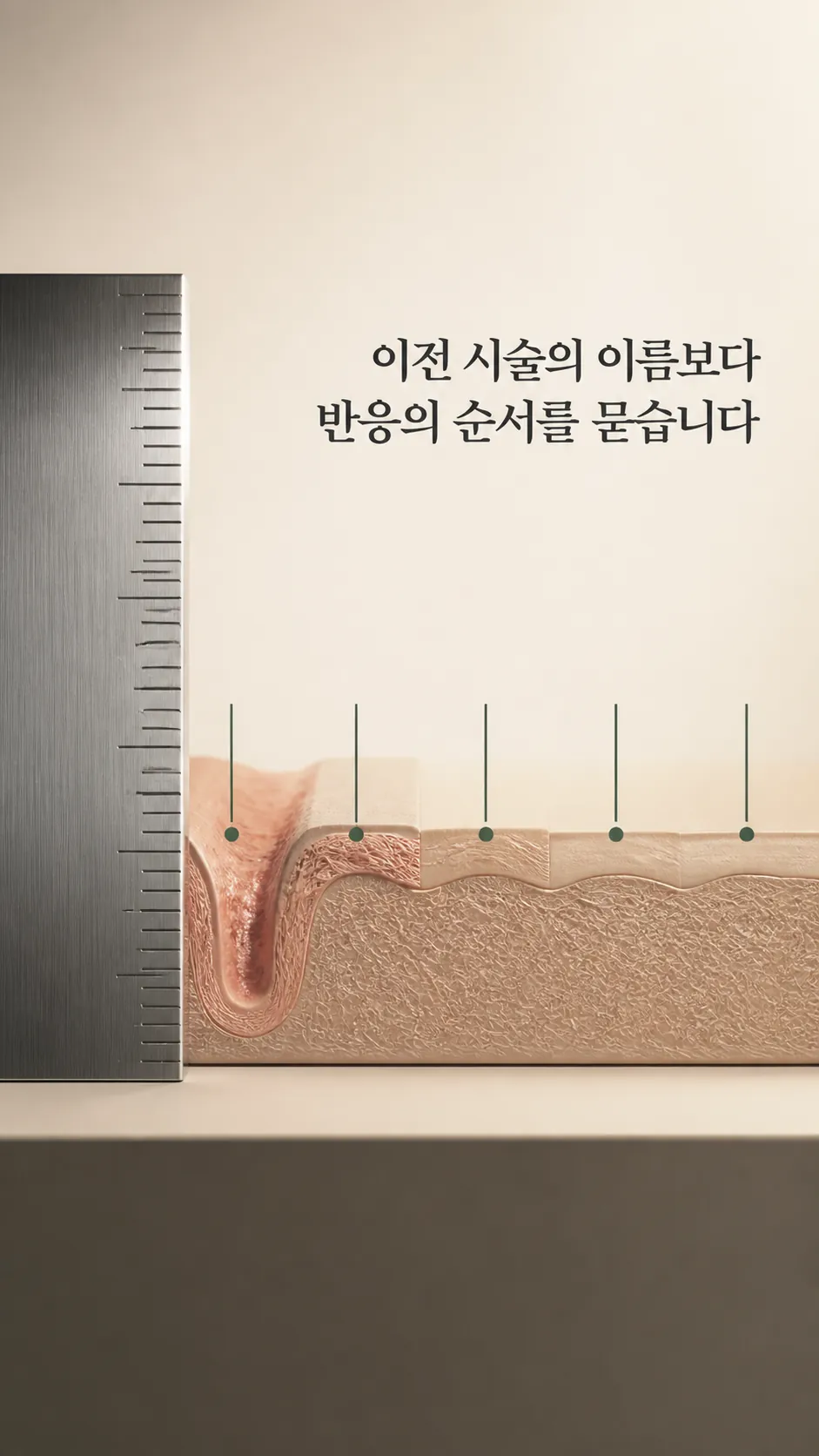 피부 반응 차이를 나누는 경계 지도