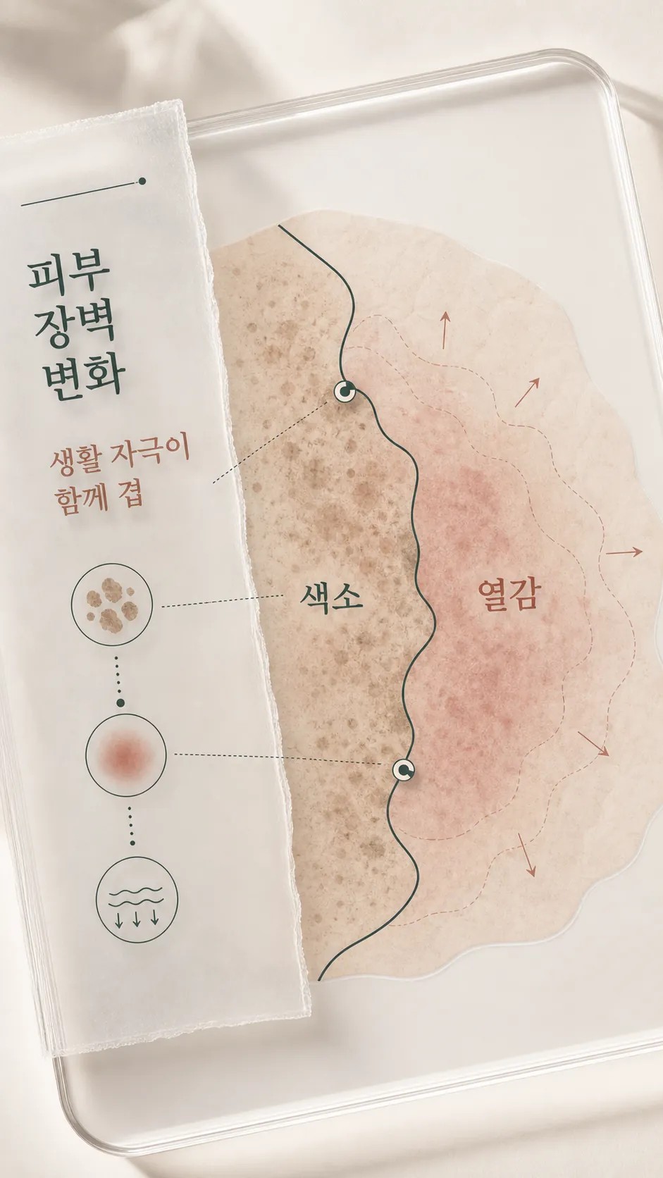 붉은 자국 주변에 퍼지는 반응 범위를 표시한 피부 표면 지도