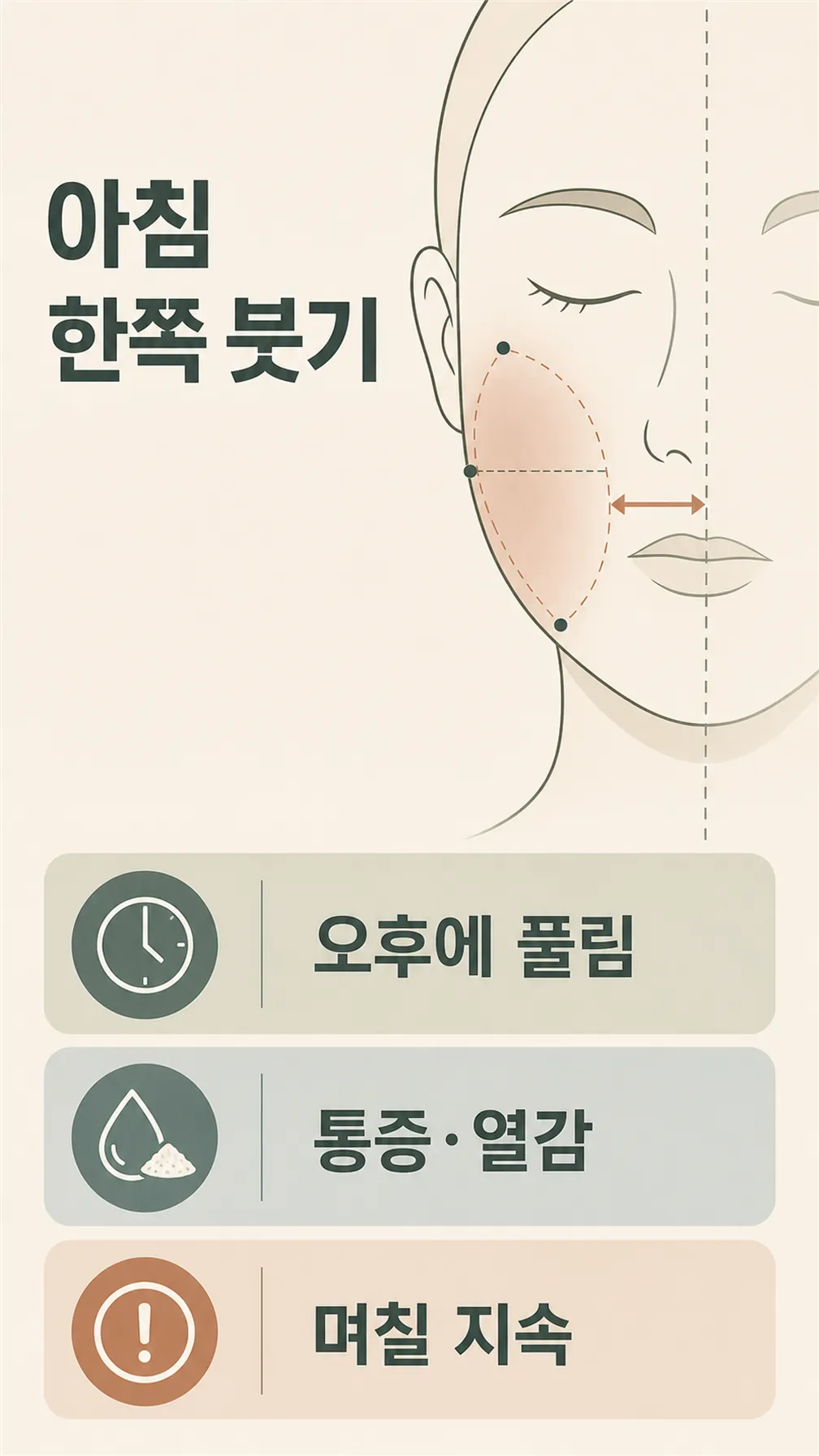 얼굴 좌우 기준점 지도 모식도