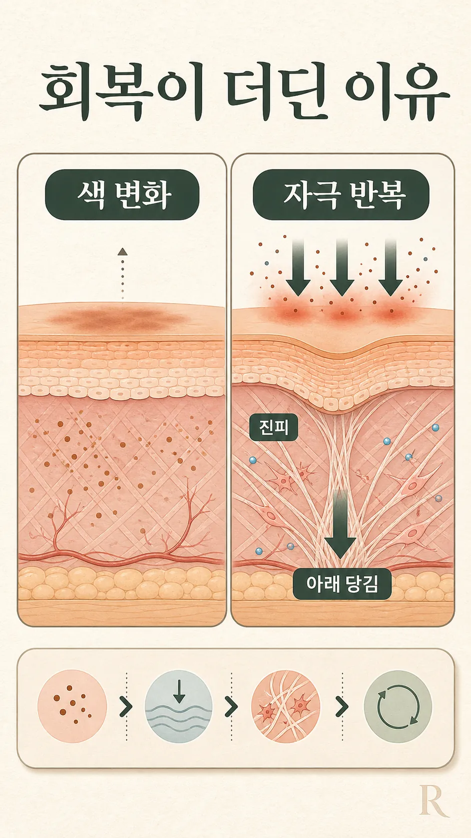 붉은기와 갈색기 색 비교 단면 도식