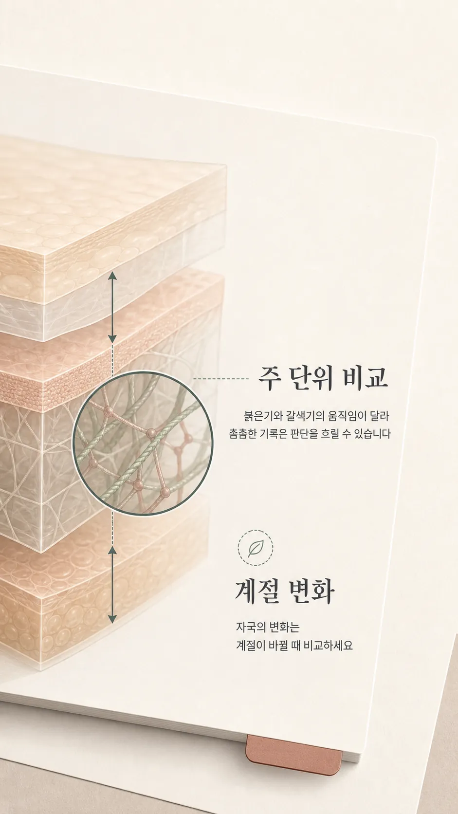 진피층 콜라겐 유착과 피부층 단면 모식도