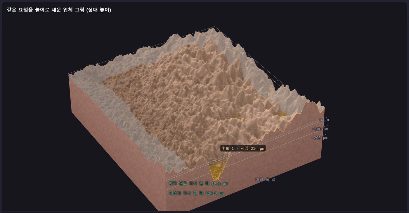 왼쪽 볼 · 02 · 같은 자리의 3D 표면